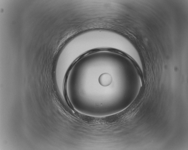 X0000057060207200509091205