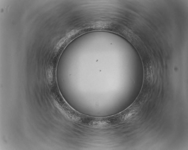 X0000057060208200509091205