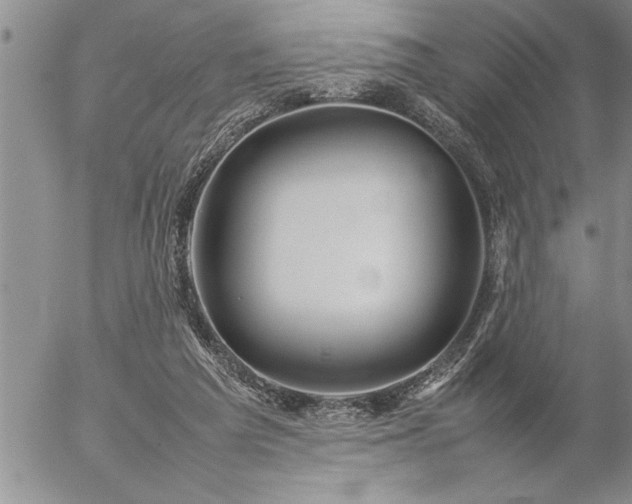 X0000057060209200509091205