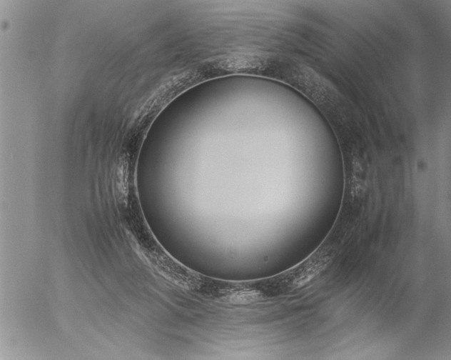 X0000057060210200509091205