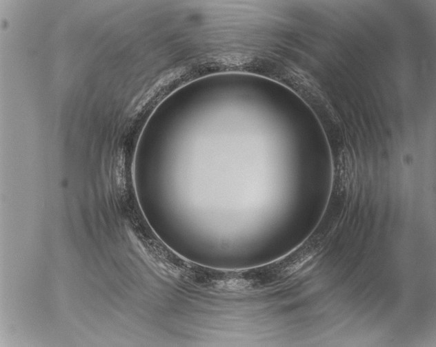 X0000057060212200509091205