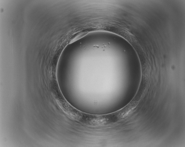 X0000057060213200509091205