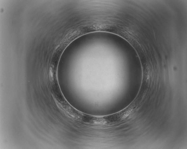 X0000057060214200509091205