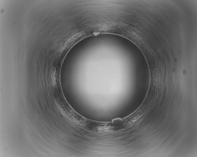 X0000057060216200509091205