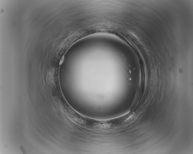 X0000057060217200509091205