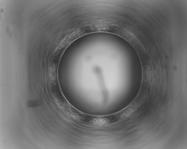 X0000057060218200509091205