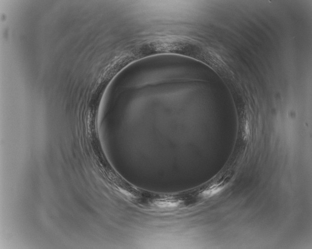 X0000057060219200509091205