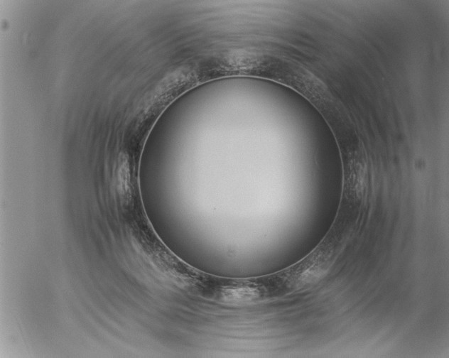 X0000057060220200509091205