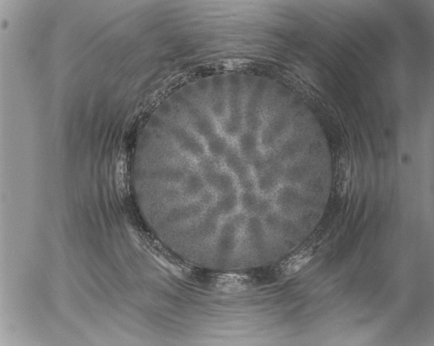 X0000057060222200509091205