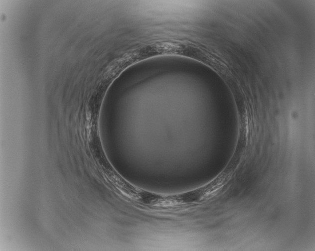 X0000057060223200509091205