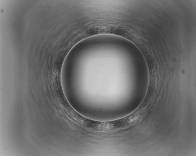 X0000057060225200509091205