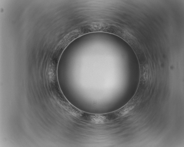 X0000057060226200509091205