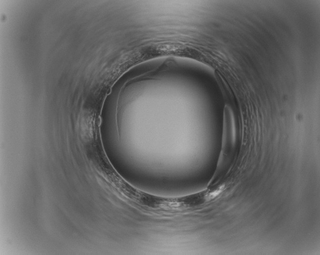 X0000057060227200509091205