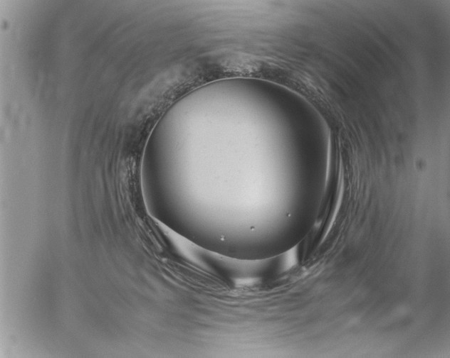 X0000057060229200509091205