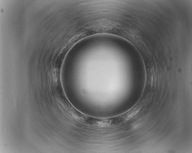 X0000057060232200509091205