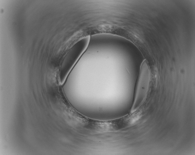 X0000057060233200509091205