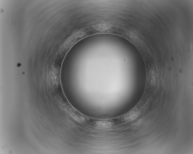 X0000057060234200509091205