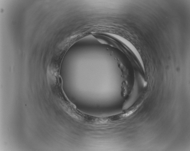 X0000057060235200509091205