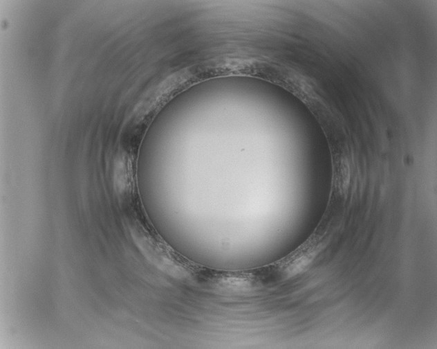 X0000057060236200509091205