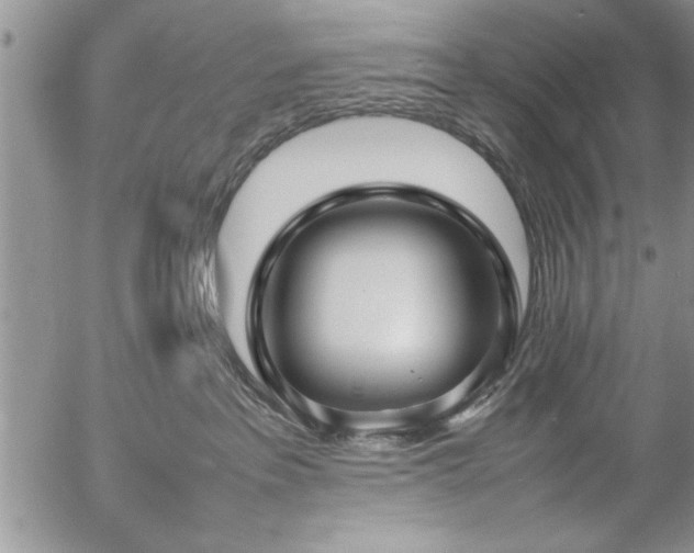 X0000057060237200509091205