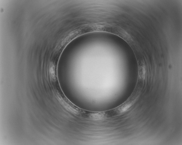 X0000057060238200509091205