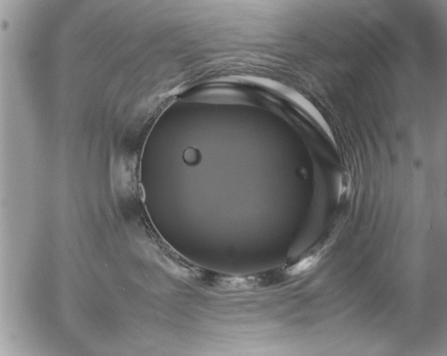 X0000057060239200509091205