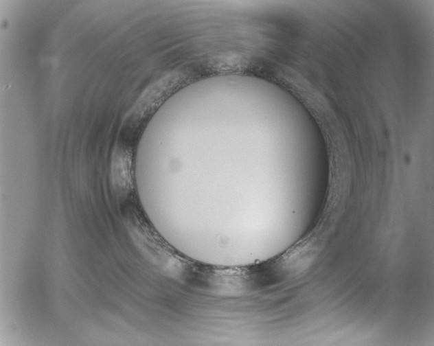 X0000057060240200509091205