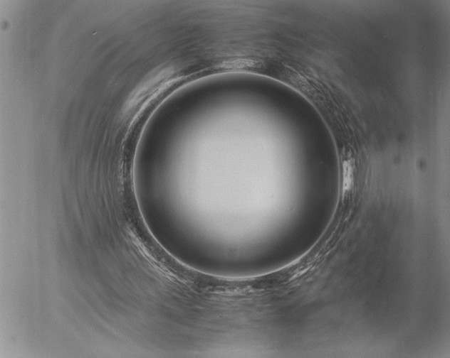 X0000057060243200509091204