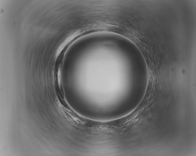 X0000057060244200509091204