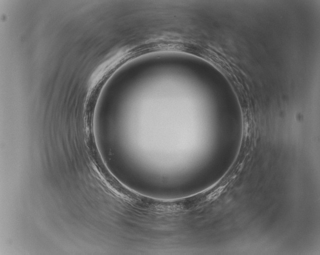 X0000057060245200509091204