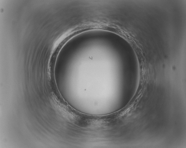 X0000057060246200509091204