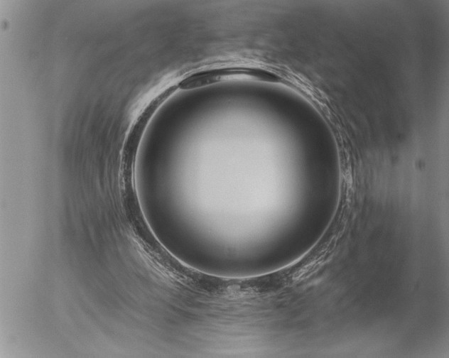 X0000057060248200509091204