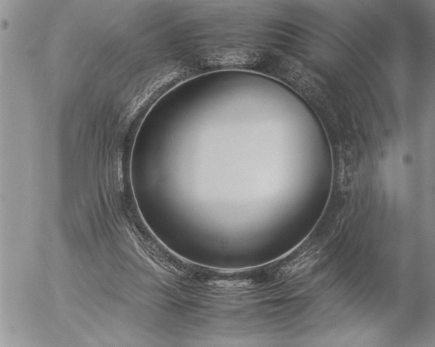 X0000057060251200509091204