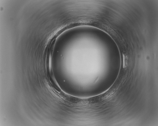 X0000057060252200509091204