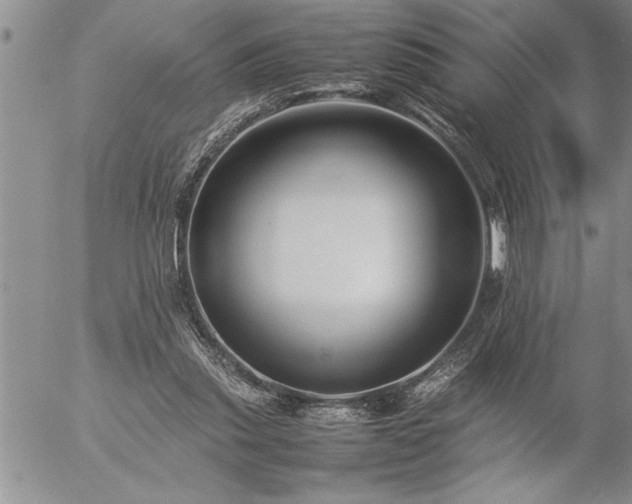 X0000057060253200509091204