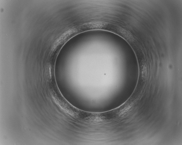 X0000057060254200509091204