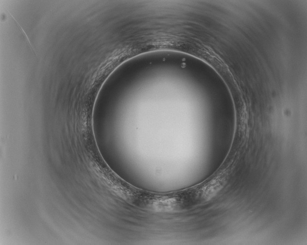 X0000057060257200509091204