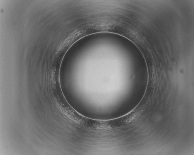 X0000057060258200509091204