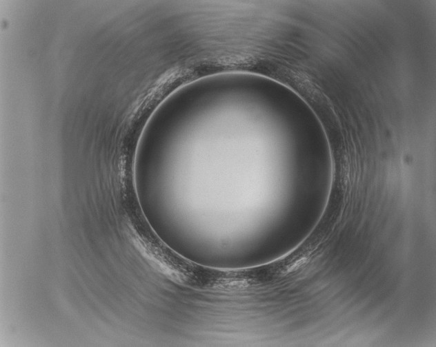 X0000057060260200509091204