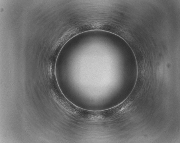 X0000057060262200509091204