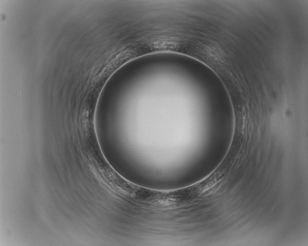 X0000057060263200509091204