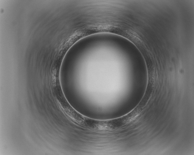 X0000057060264200509091204