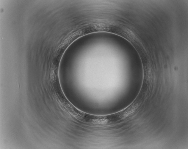 X0000057060266200509091204