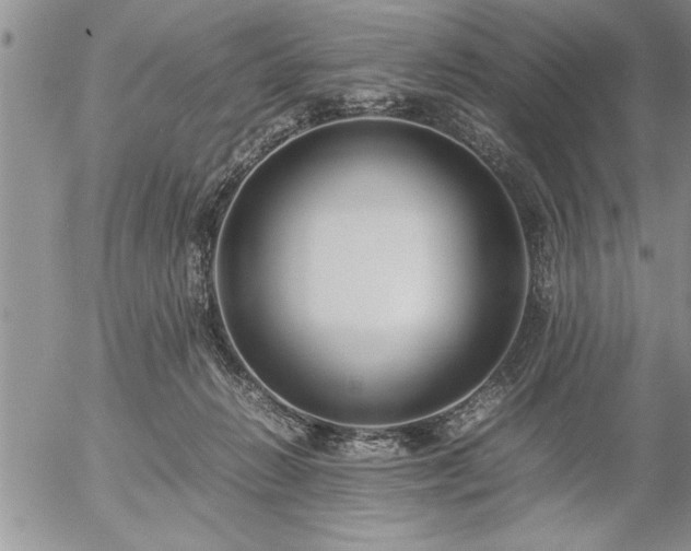 X0000057060270200509091204