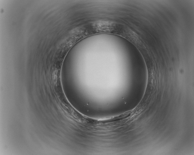 X0000057060271200509091204