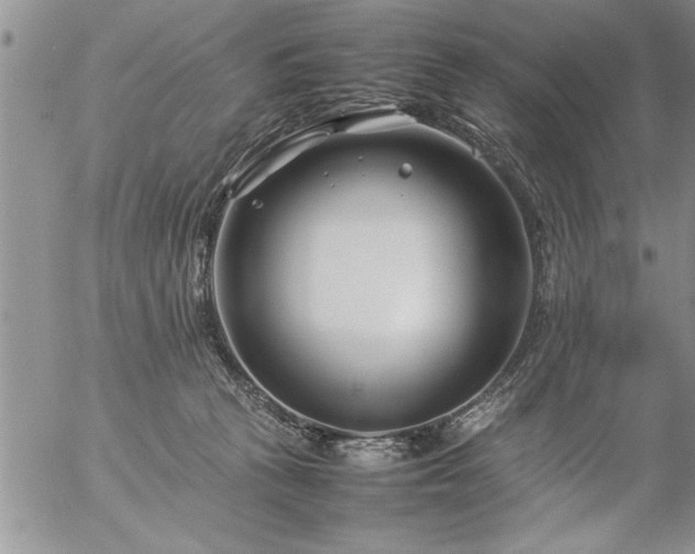 X0000057060273200509091204