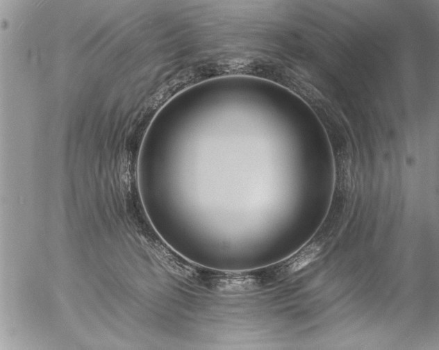 X0000057060274200509091204