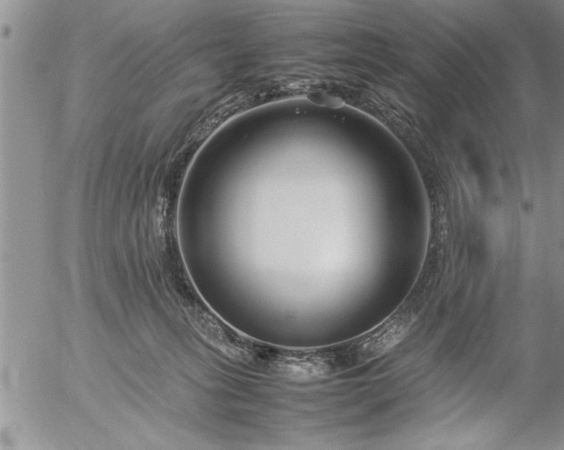 X0000057060275200509091204