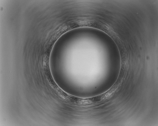 X0000057060277200509091204