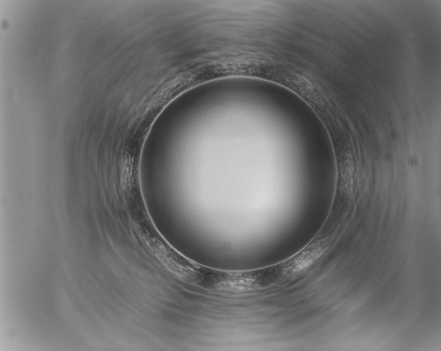 X0000057060278200509091205